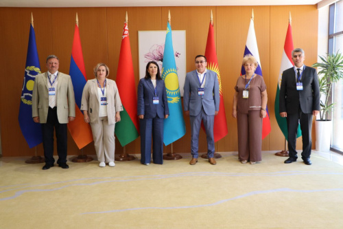A regular Coordination Meeting of the chief narcologists of the CSTO member states was held
