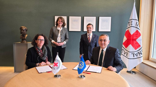 Another Coordination Meeting of high-level representatives of the CSTO Secretariat and the International Committee of the Red Cross took place