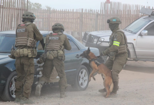 "Interaction-2022" trainings with the participation of units from the CSTO CRRF formations of special forces were completed in the Republic of Kazakhstan