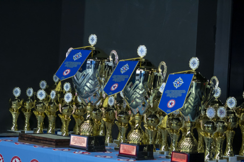 The open International Youth Sambo Festival of the national teams of the CSTO member states was held in Moscow