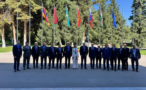 The 28th meeting of the Coordinating Council of Heads of Competent Authorities of the CSTO Member States on Combating Illegal Migration was held The 28th meeting of the Coordinating Council of Heads of Competent Authorities of the CSTO Member States on Combating Illegal Migration was held