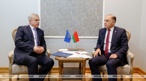 The meeting of the CSTO Secretary General with the State Secretary of the Security Council of Belarus Alexander Volfovich took place in Minsk