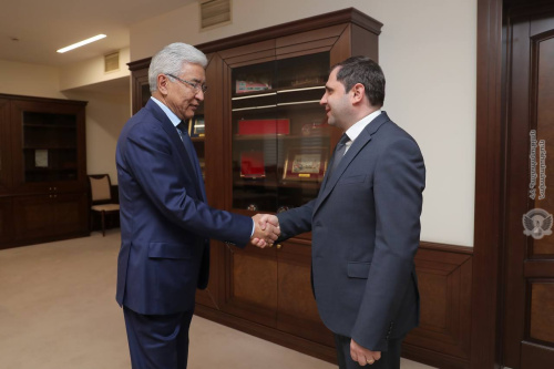 The CSTO Secretary General Imangali Tasmagambetov met with the Defense Minister of the Republic of Armenia Suren Papikyan in Yerevan