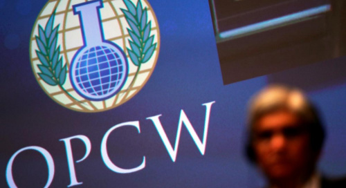 The CSTO delegation took part in the session of the OPCW Conference